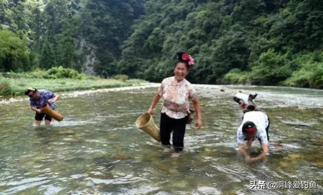 农村河中常见十种鱼类盘点，鳑鲏鱼等乡土鱼种生态习性全解析