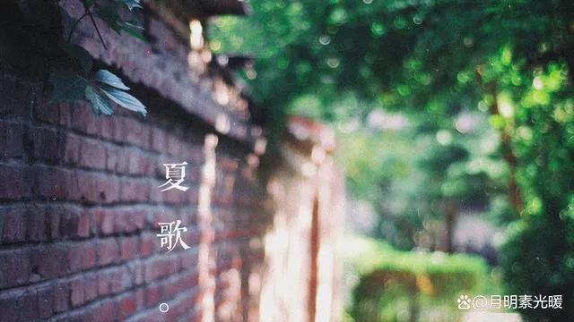 外汇理财产品怎么买，外汇理财产品怎么买卖（外汇的投资方法有哪些）