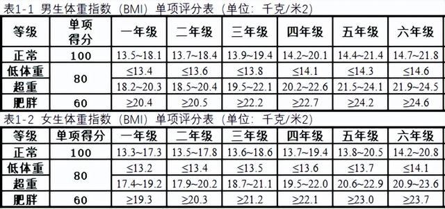 小学生体质健康标准，小学生体质健康标准是多少（小学生体质健康标准）