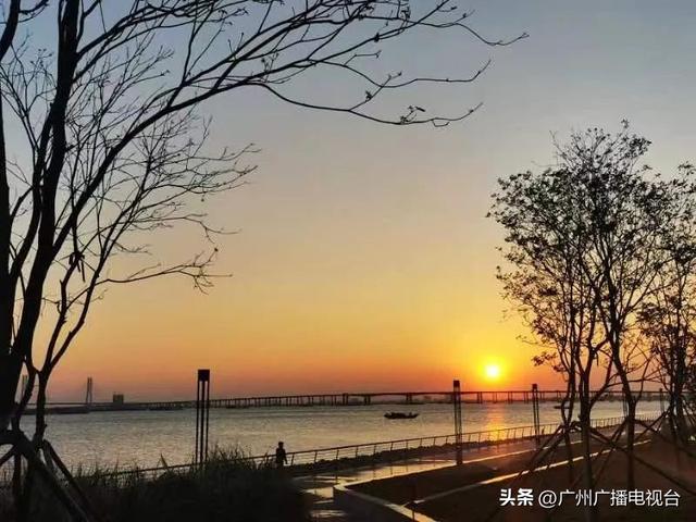 广州哪里可以看海，广州旅游看海的地方（广州这些“无敌海景”碧道藏不住了）