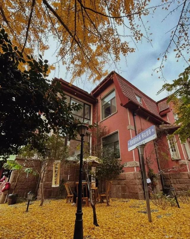 青岛旅游十大打卡地，我还想去N+1次