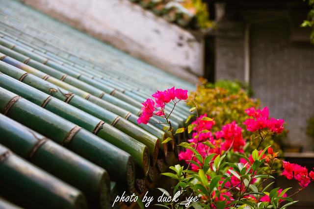 广州的别称，广州的别称穗怎么读（广州闹市区内的清静古观藏“岭南第一楼”）