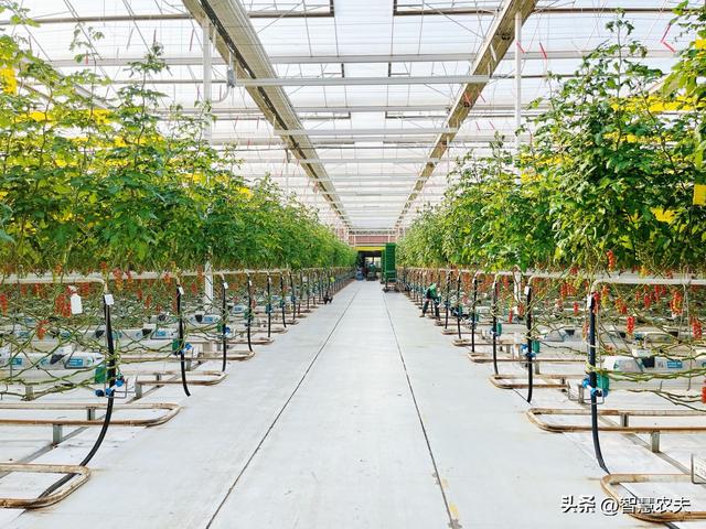 人工智能温室大棚，这个智能温室不一般