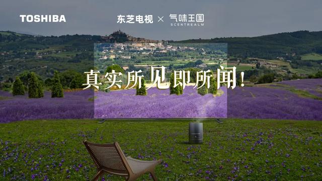  高端消费市场如何布局，看东芝电视开辟客厅营销新战场