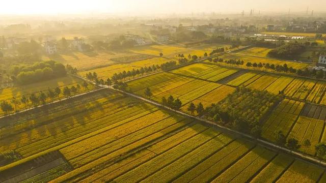 美国有哪五大农业带 美国五大农业带是什么，美国有哪五大农业带（中国农业的发展趋势）