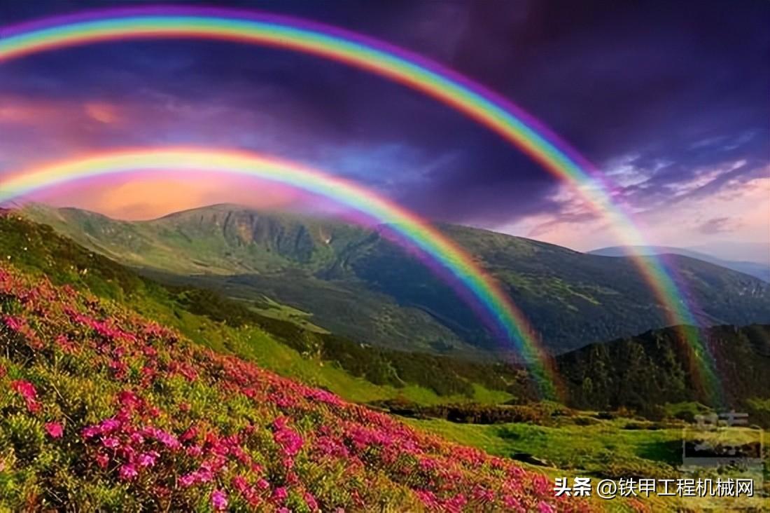 工程机械颜色 小熊专栏：盘点2022工程机械的10种色彩，赤橙黄绿青蓝紫+黑灰白