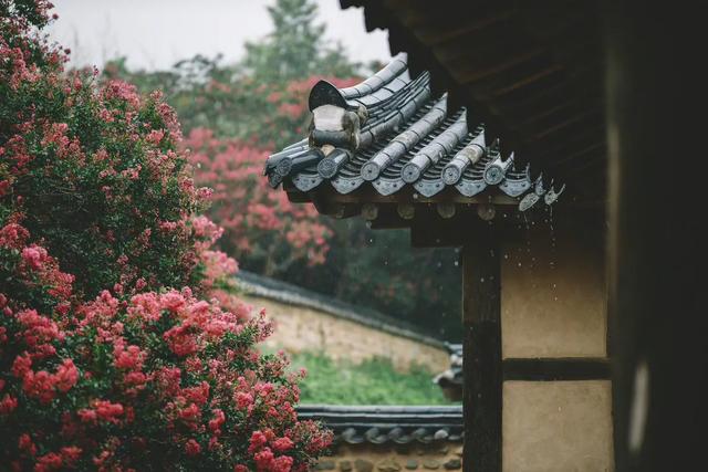 雷雨话剧观后感，雷雨话剧观后感800字（观《雷雨》有感//侯煜冰、李志森、肖依诺）