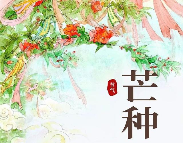 芒种是什么意思，二十四节气之芒种（芒种丨这么忙，这么美）