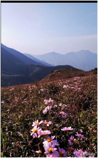 东灵山在哪里，谁见过北京的最高峰东灵山顶