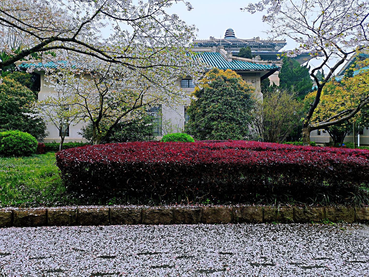 学校隶属（聊聊湖北高校的层次）