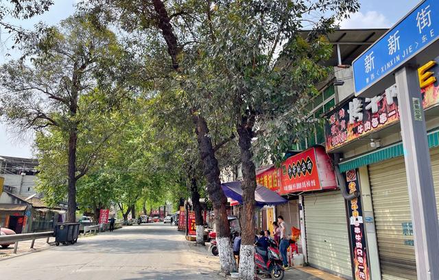 成都市北改规划图，成都北改规划（实拍新都老城区新新路现状及玖源片区有机更新）