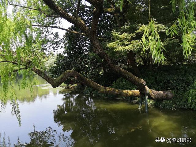 上有天堂下有什么，上有天堂的下一句是什么（中国被誉为“人间天堂”的2座城市）