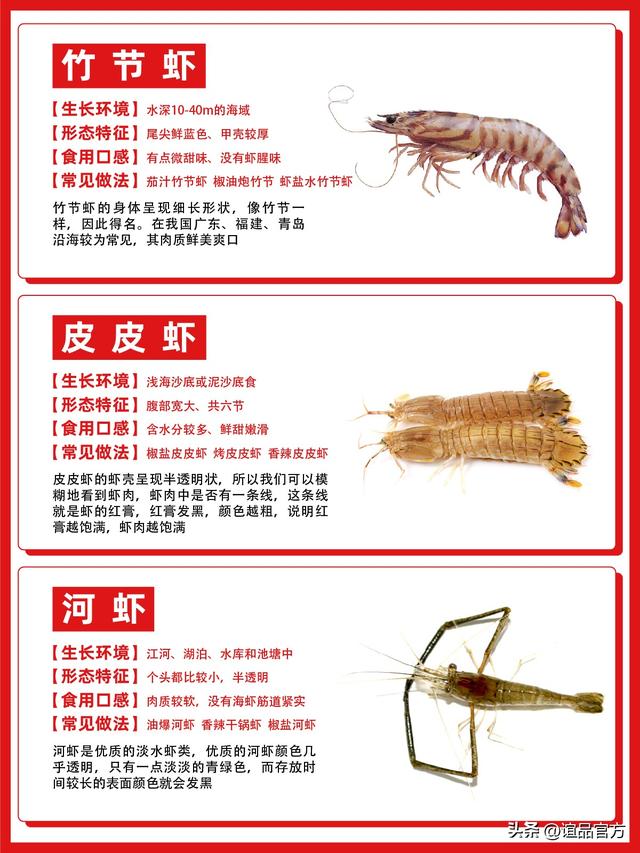 虾有什么种类，虾的种类（常见虾的种类与吃法）