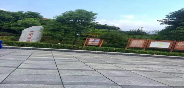 广州到衡山旅游攻略，广州4小时内高铁能去的地方（人生第一次南岳衡山独游）