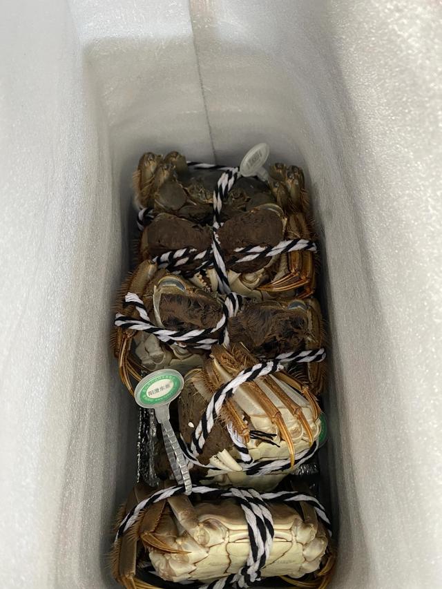 阳澄湖大闸蟹吃法，大闸蟹的吃法有哪些（阳澄湖大闸蟹的美食做法）
