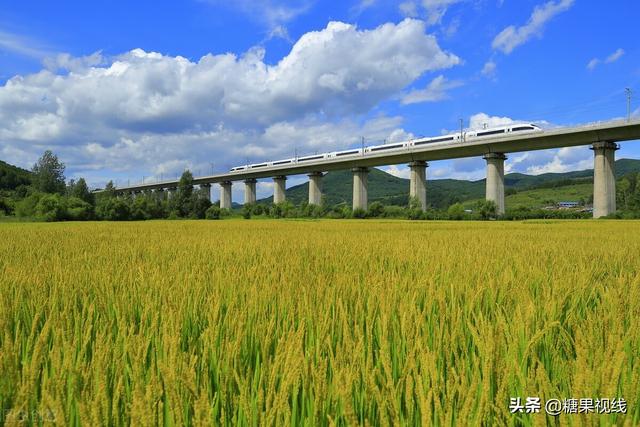 d开头的是火车还是高铁，d开头的火车是什么车（<G>和动车）