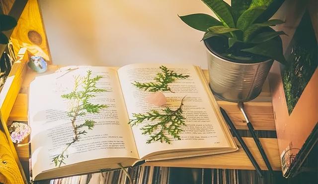 关于读书读多了有什么好处的语句，读书多了有什么用（这6句话，就是最好的回答）