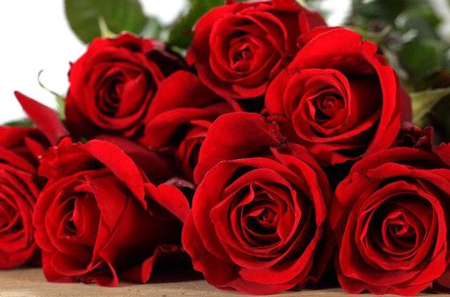 送33朵玫瑰花是代表什么意思，送玫瑰花33朵的含义（十日谈 ， 三十三朵玫瑰）
