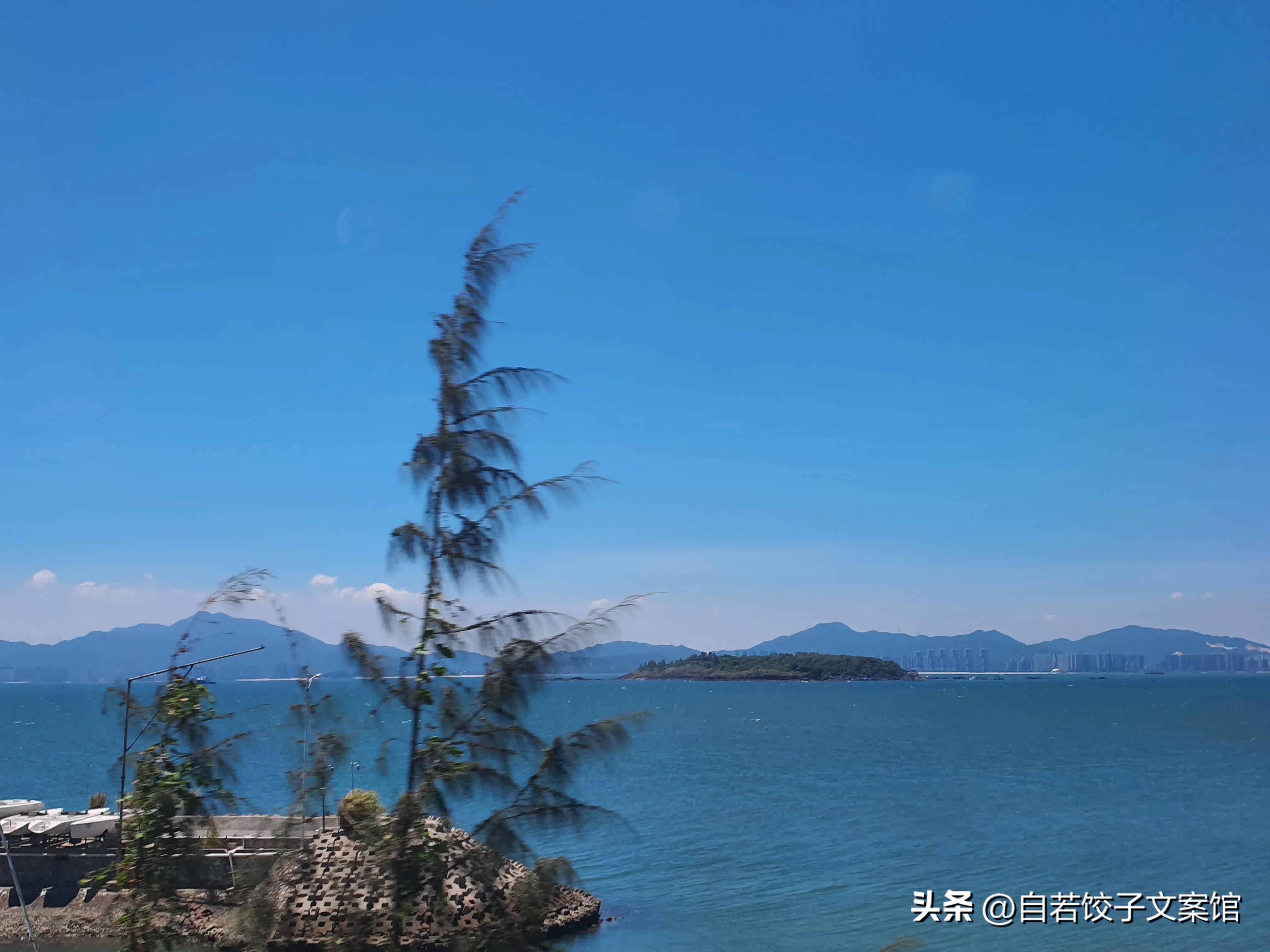 想去海边的文案，想去海边的文案简短（文案，去海边发朋友圈的文案）