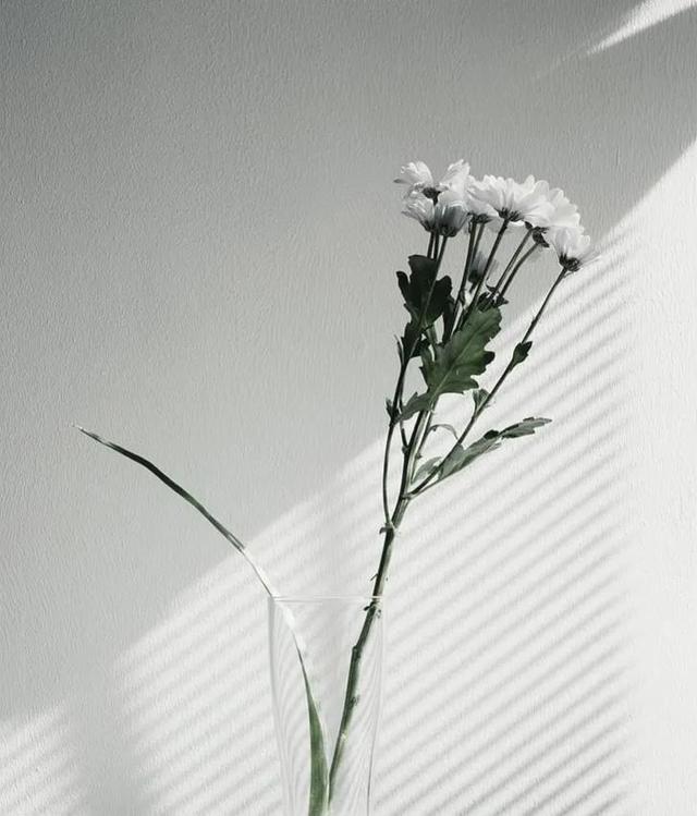 优美句子段落摘抄，优美句子段落摘抄短句（优美语段摘抄）