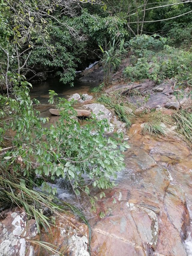 大自然的搬运工，大自然的搬运工是什么动物（大自然的搬运工是什么动物日记）