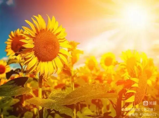 开西餐厅失败案例（160万开餐馆血本无归）