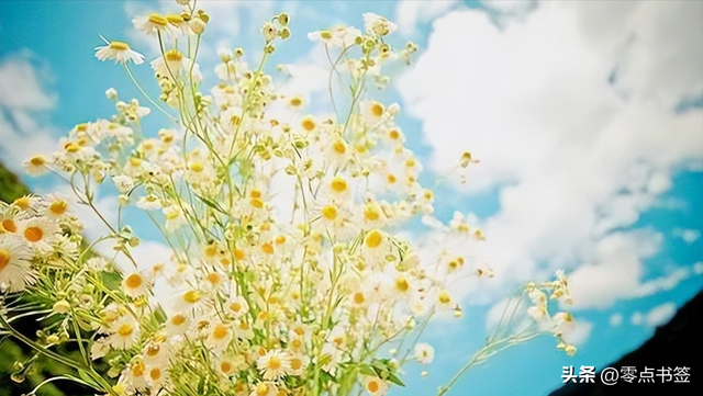 路温舒是个怎样的人，路温舒是哪个朝代的（人到中年，为什么会焦虑）