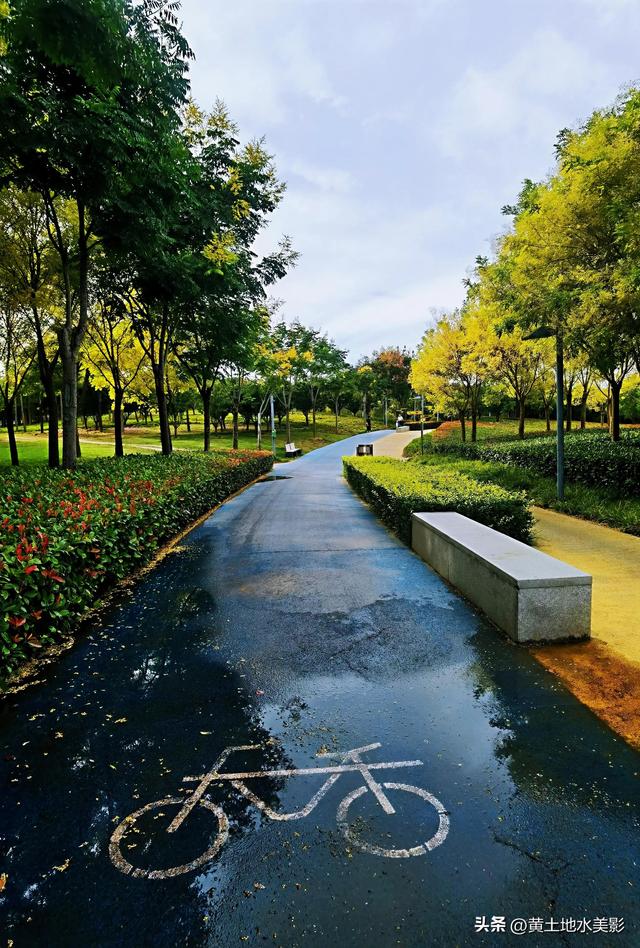 郑州龙湖湿地公园现状分析，河南郑州龙湖湿地公园秋色初露