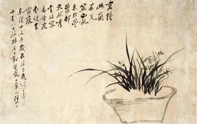 郑板桥擅长画什么，郑板桥擅长画什么什么之一（郑板桥画兰：肥瘦相间）