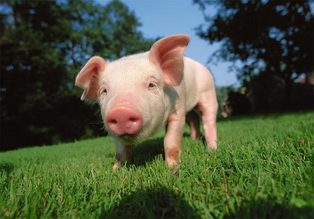 关于自律与自由的句子，自律什么自由一句话（让自己朝着正确的方向前进）