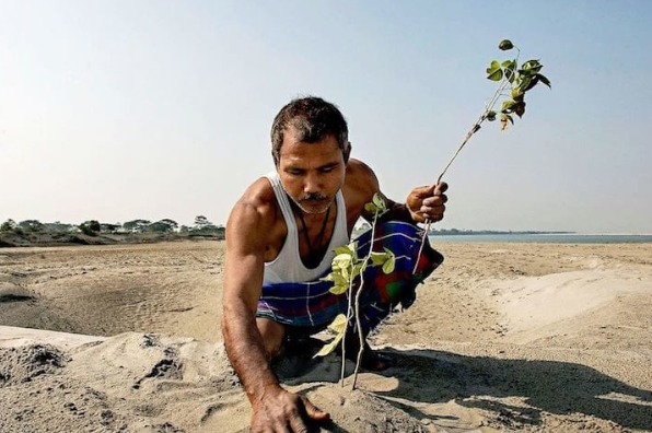 世界第一大树，世界四大草原（用双手在空旷的沙漠中种树）