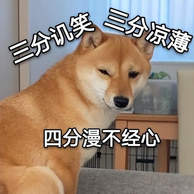 柴犬宠物好养吗，柴犬适合家养吗（为何喜欢的人这么多）