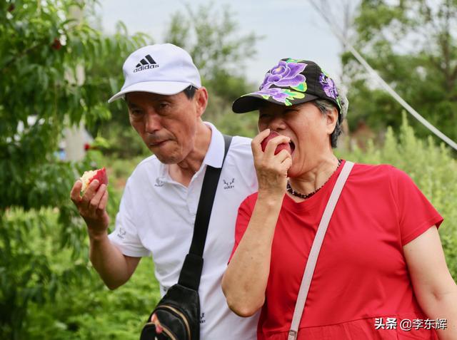 同学聚会说说幽默短句，同学聚会搞笑短句（快乐时光总是那么美好）