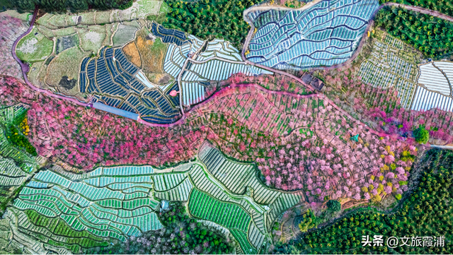 霞浦建善寺简介，2023年霞浦旅游月历新鲜出炉~快收藏→