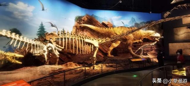 旅游最适合的城市，什么城市最适合旅游（推荐这4个气候宜人的城市）