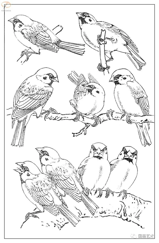 火的简笔画图片，火焰怎么画简笔画图片（画鸟参考——白描麻雀百图）