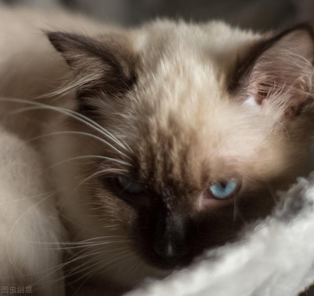 一些情话绵绵的句子，一些情话绵绵的句子怎么说（浪漫不油腻的情话文字）