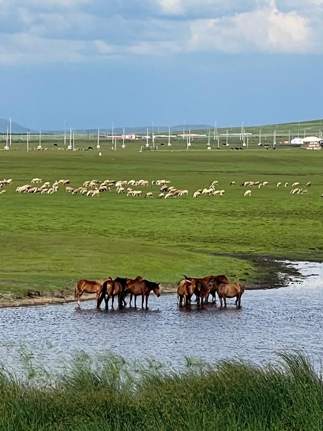 自驾游路线，自驾游路线哪种品牌的好（115天环驾中国35000公里）