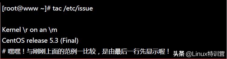 linux系统基本命令的目录（关于linux常用基本命令实例）