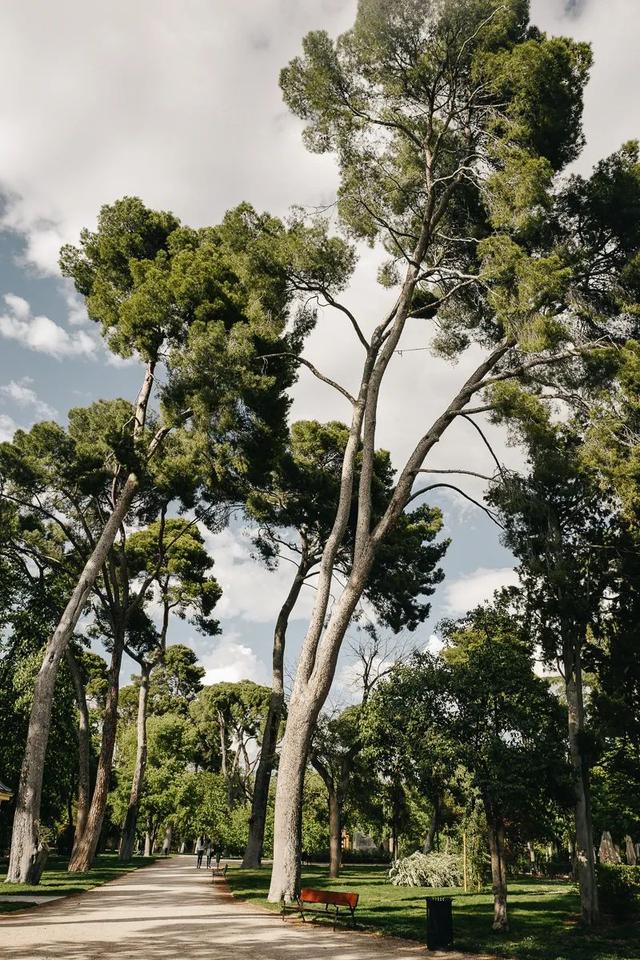 摄影的意义与价值，摄影对孩子意义与价值（戴显婧：从摄影师到导演）