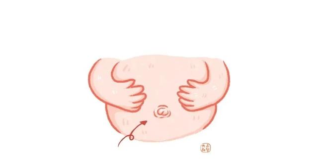 皮肤九小层分别是什么，皮肤九小层分别是什么图片（上学前教孩子认识自己的身体）