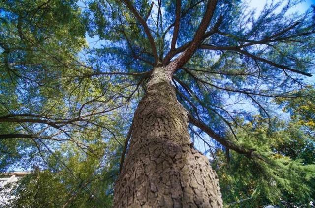 江淮学院官网，江苏工业学院地址（为什么说安大江淮学院是安徽省最有潜力的二本高校）
