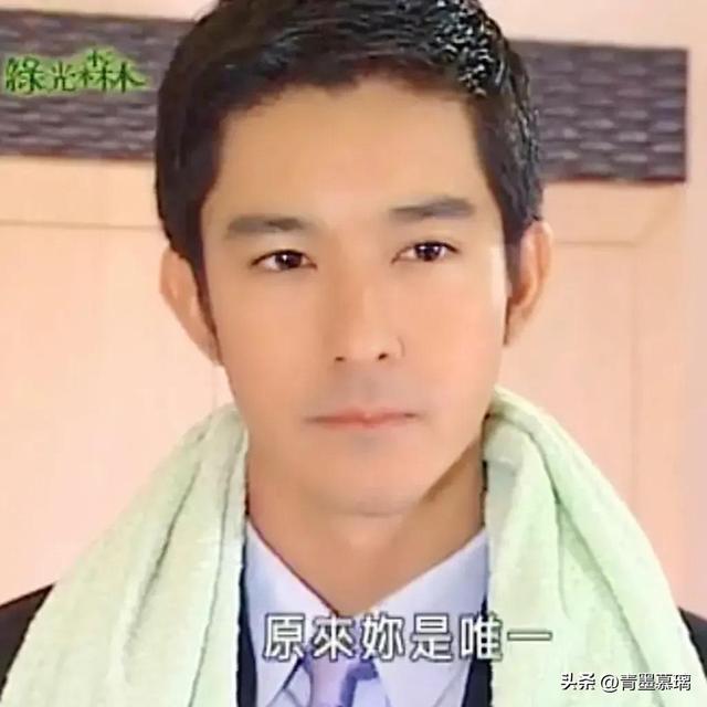 台湾爱情电视剧，台湾电视剧大全（盘点那些年我们追过的台湾偶像剧男女主）