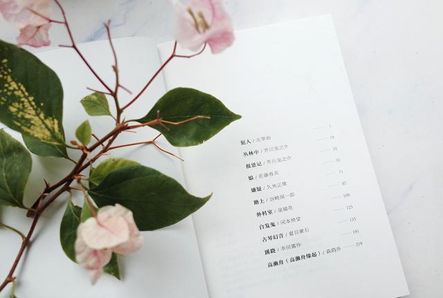 日本推理小说书目推荐，日本推理的书（原来这些日本文学大师也写过推理小说）