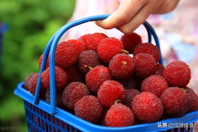 杨梅泡多久（别直接用水泡）