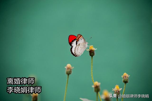 现在离婚需要什么条件和手续，现在离婚需要什么手续 和要（离婚该怎么起诉离婚）