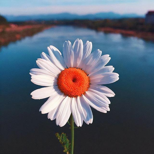 比较抑郁的一段话，很丧很抑郁的话（很丧很抑郁的心情句子）