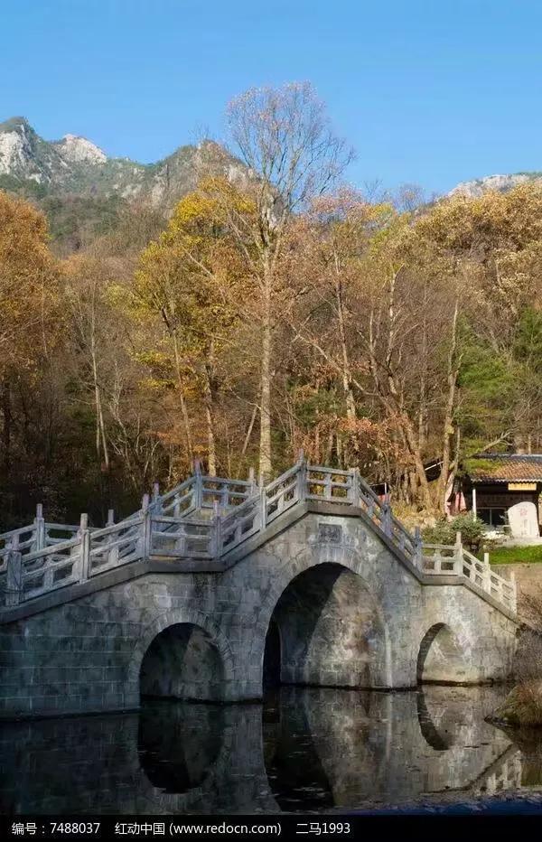 蒙牛牛奶图片，杂芜满目乱丘山——六评程奎先生的长篇小说《皇太极全传》