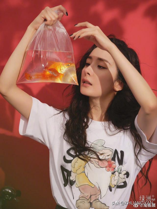 夏晚晴天电视剧，盛夏晚晴天电视剧剧情（2013年《盛夏晚晴天》）