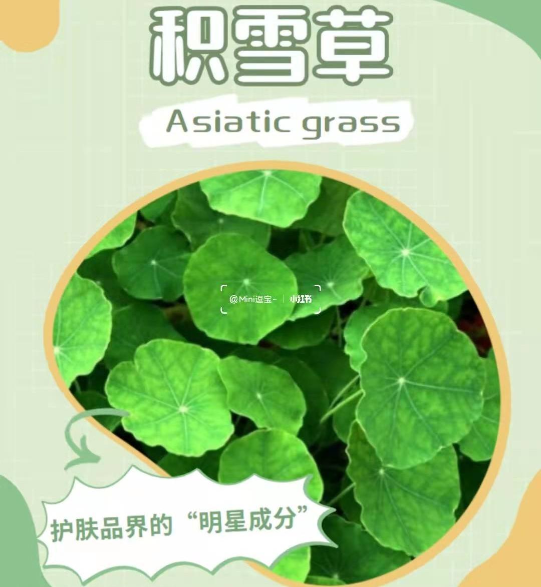 滚针做一次就会有效果吗，滚针做一次就会有效果吗知乎（医生：真正靠谱只有这几点）